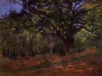 Monet, Claude Oscar - The Bodmer Oak, Fontainebleau